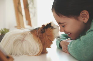 bigstock Happy Little Girl With Guinea  409845145