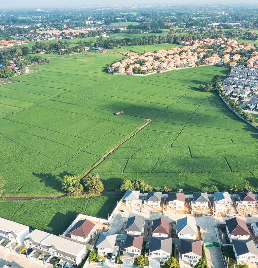 bigstock Land Or Landscape Of Green Fie 455470741