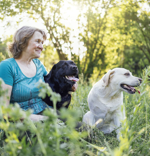 bigstock Elderly Grayhaired Woman With  471597145