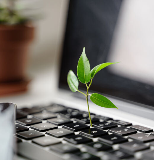 bigstock Laptop Keyboard With Plant Gro 416652706