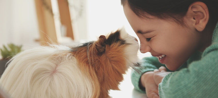 bigstock Happy Little Girl With Guinea  409845145