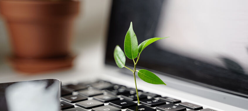 bigstock Laptop Keyboard With Plant Gro 416652706