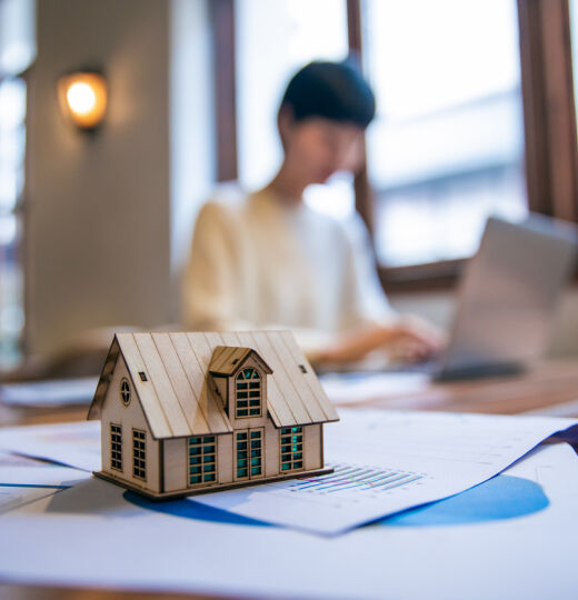 development transactions
