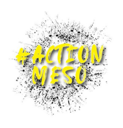 meso-logo.png