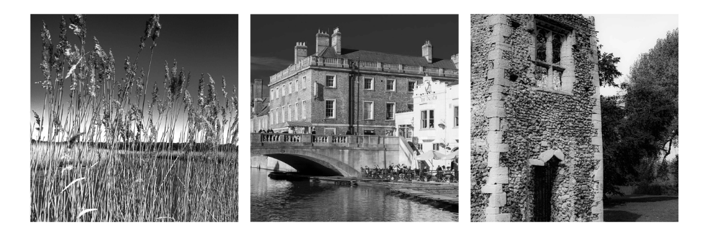 Client's photography images